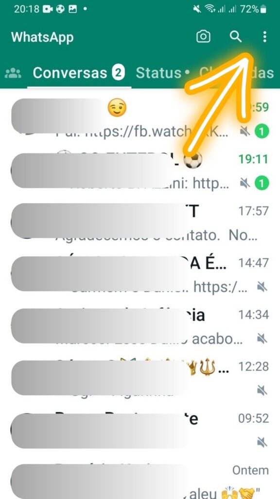tela 1 proteger whatsapp